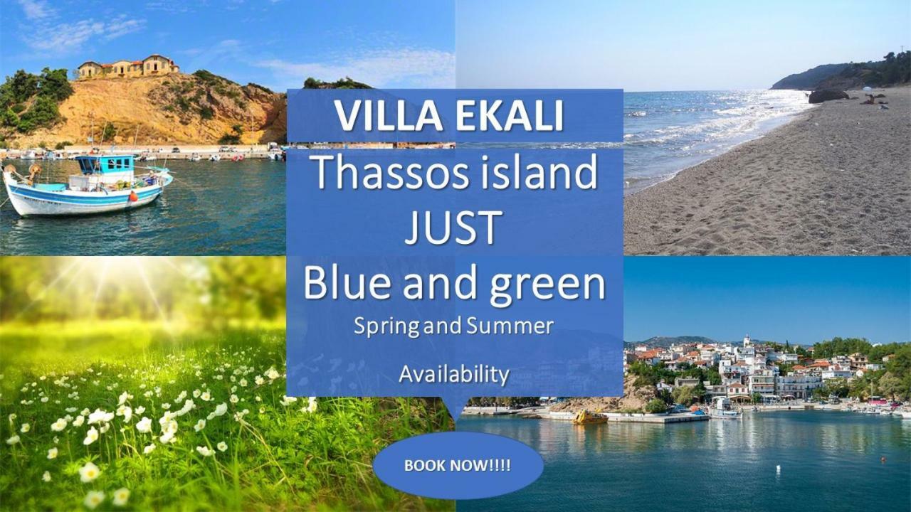 Apartment Ekali Limenaria (Thasos)